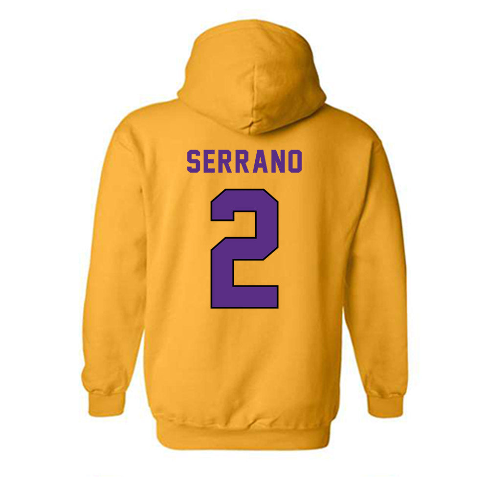 East Carolina - NCAA Women's Soccer : Sofia Serrano - Classic Shersey Hooded Sweatshirt-1