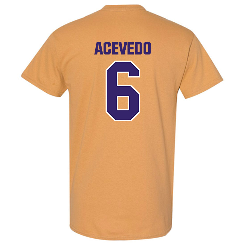 Washington - NCAA Softball : Melody Acevedo - Classic Shersey T-Shirt-1