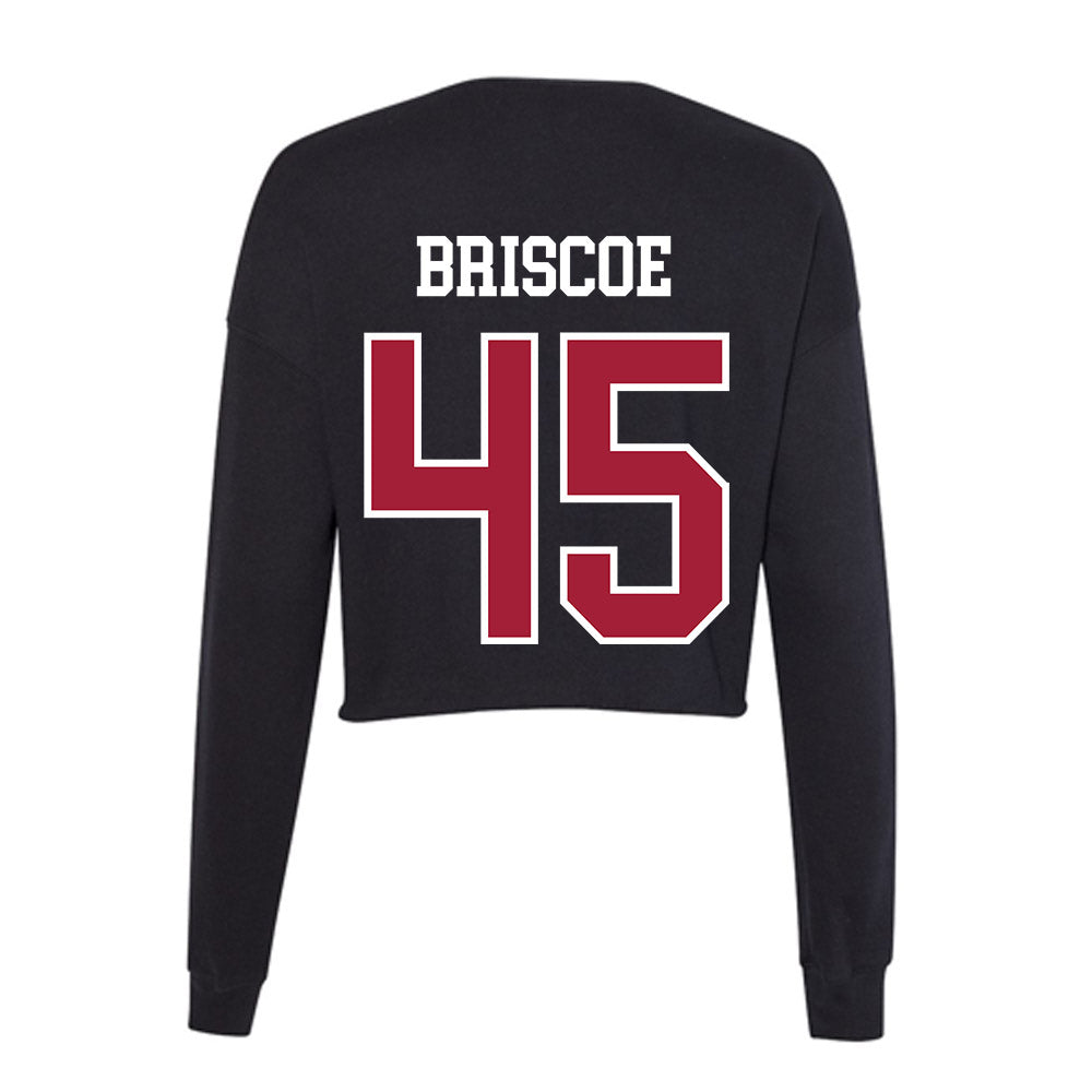 Arkansas - NCAA Baseball : Tye Briscoe - Women's Cropped Crew Fleece-1