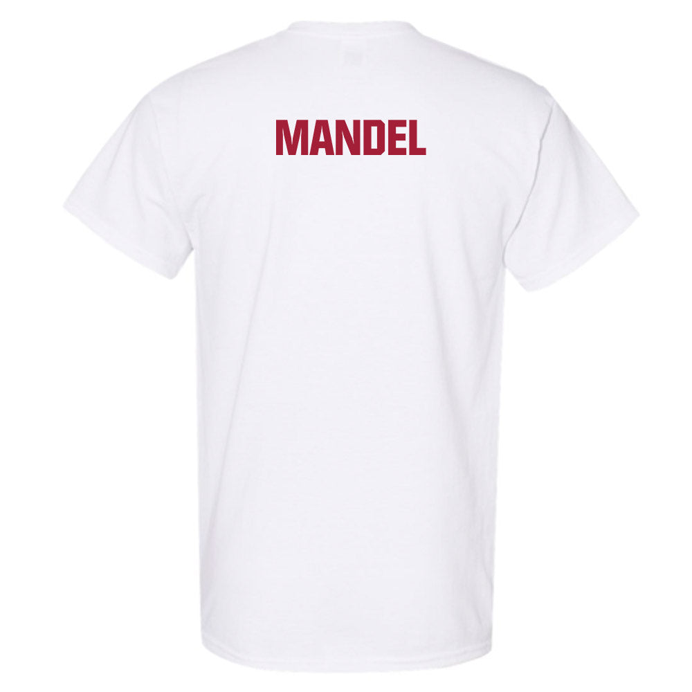 Indiana - NCAA Women's Rowing : Daniella Mandel - Classic Shersey T-Shirt-1