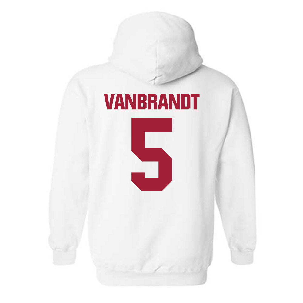 Indiana - NCAA Softball : Aly VanBrandt - Classic Shersey Hooded Sweatshirt-1