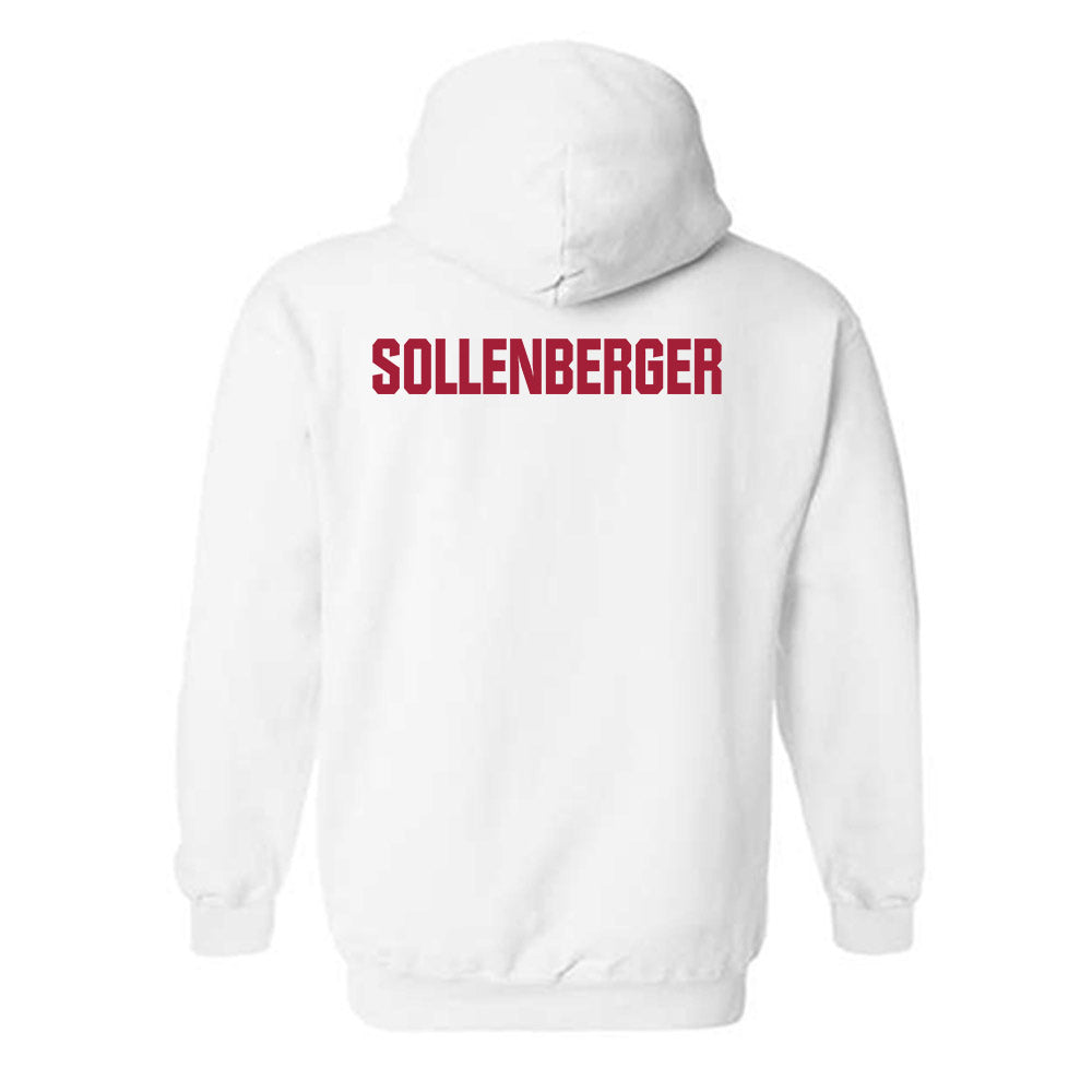 Indiana - NCAA Men's Swimming & Diving : Joshua Sollenberger - Classic Shersey Hooded Sweatshirt-1
