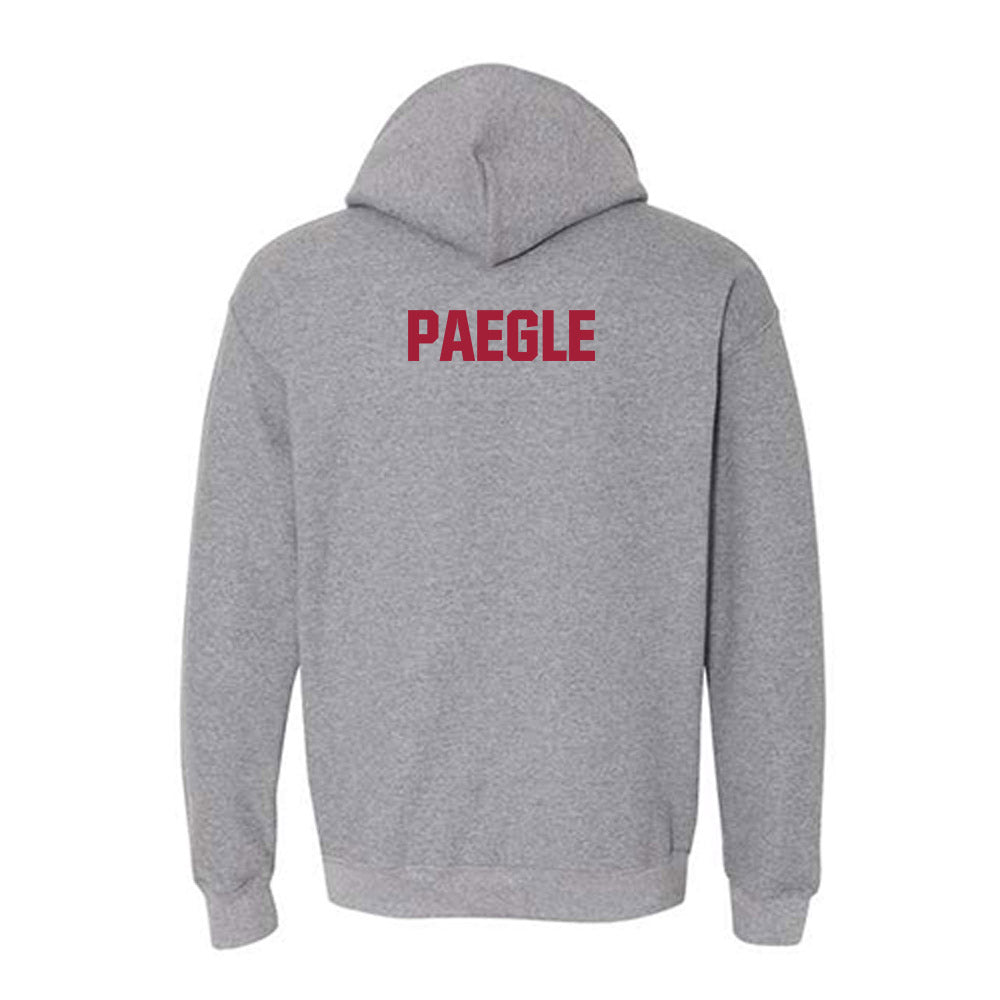 Indiana - NCAA Men's Swimming & Diving : Lukas Paegle - Classic Shersey Hooded Sweatshirt-1