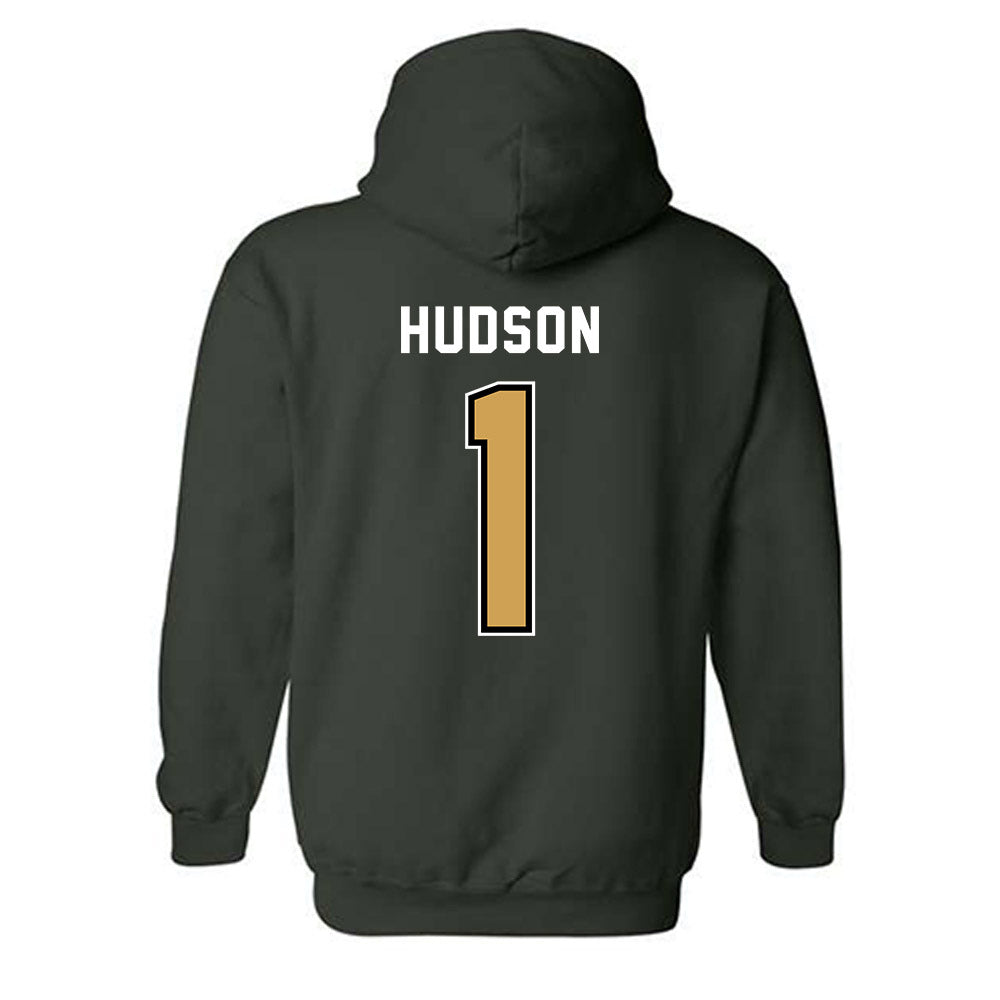 Wright State - NCAA Women's Volleyball : Audrey Hudson - Hooded Sweatshirt-1