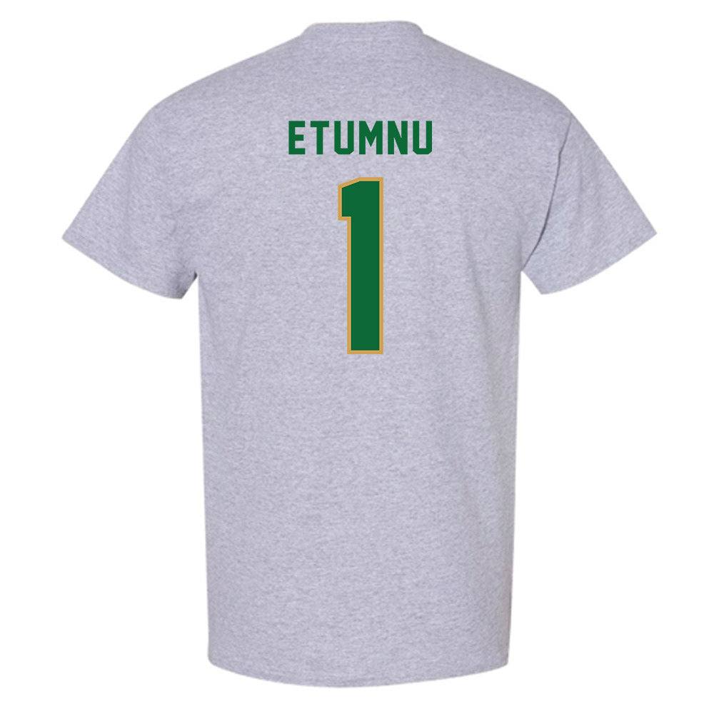 Wright State - NCAA Men's Basketball : Bryan Etumnu - T-Shirt-1