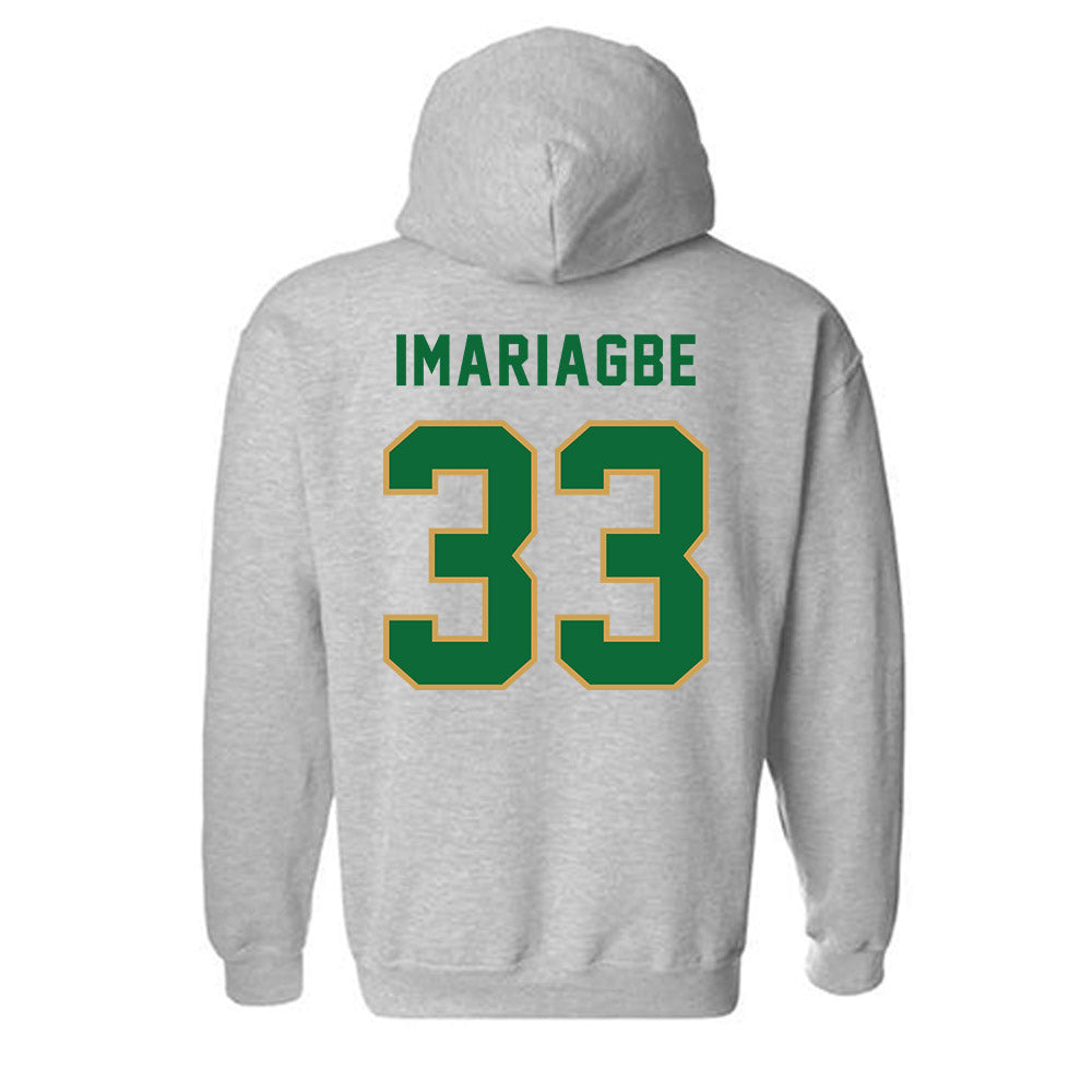 Wright State - NCAA Men's Basketball : Michael Imariagbe - Hooded Sweatshirt-1