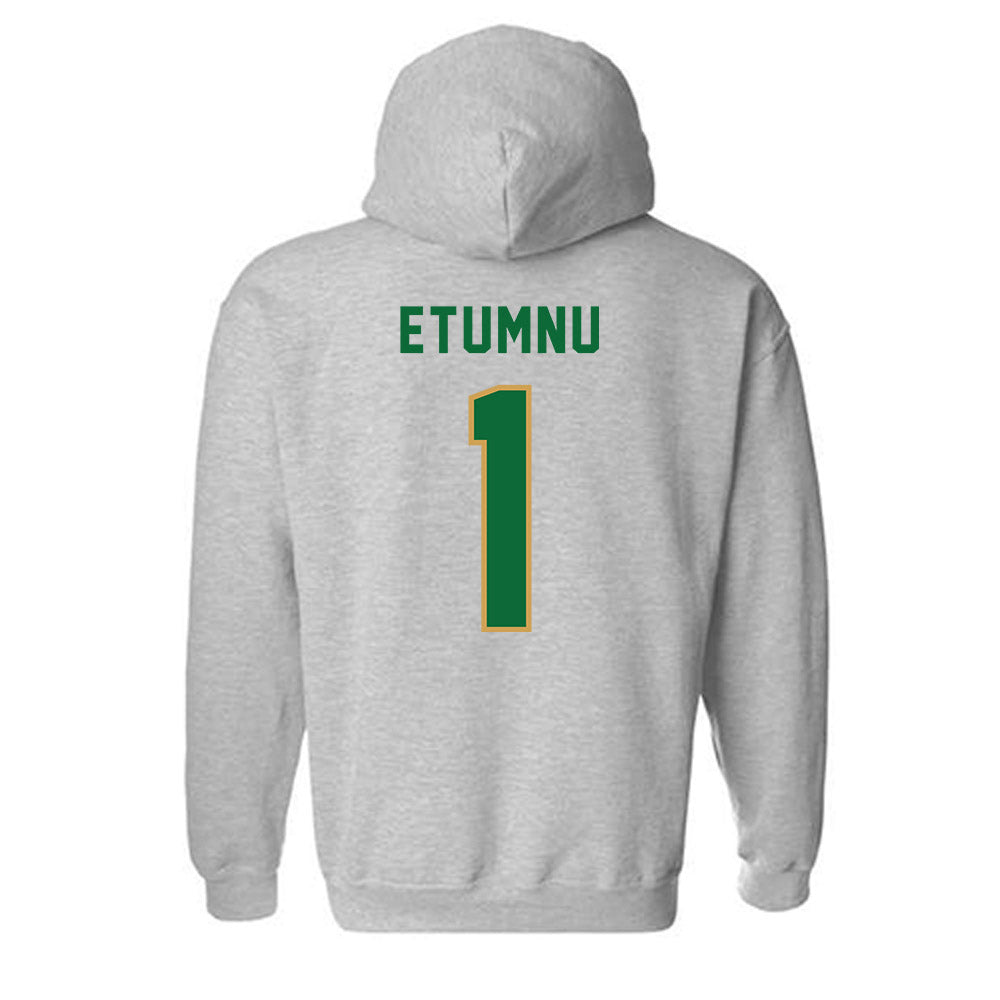 Wright State - NCAA Men's Basketball : Bryan Etumnu - Hooded Sweatshirt-1