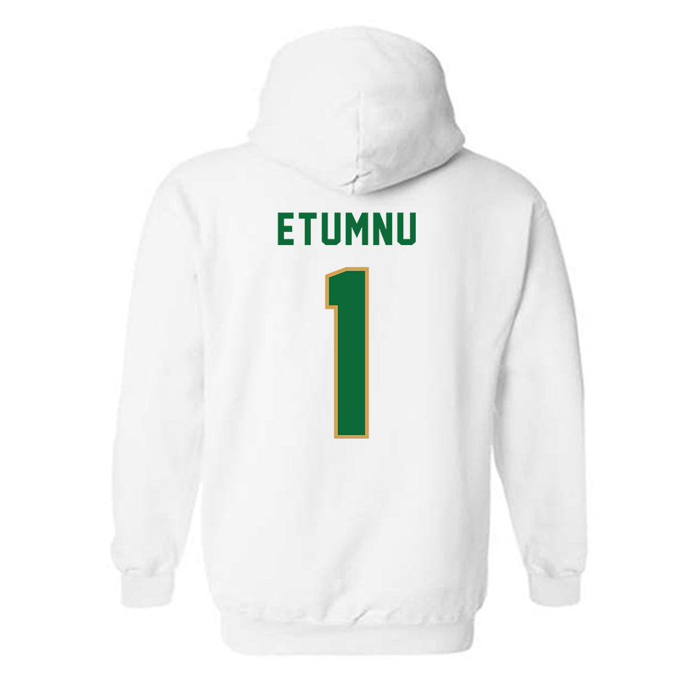 Wright State - NCAA Men's Basketball : Bryan Etumnu - Hooded Sweatshirt-1