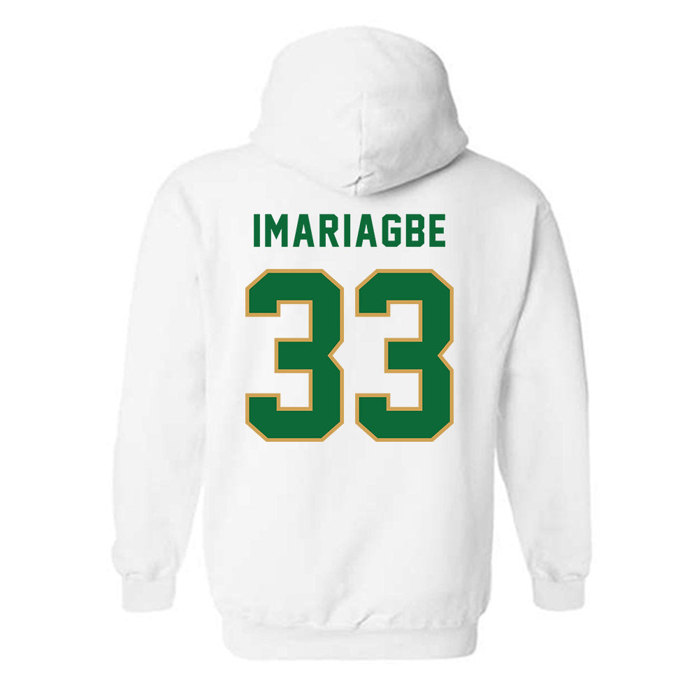Wright State - NCAA Men's Basketball : Michael Imariagbe - Hooded Sweatshirt-1
