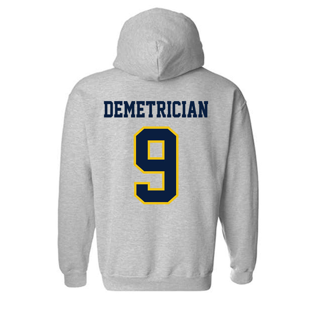 Michigan - NCAA Women's Volleyball : Ella Demetrician - Classic Shersey Hooded Sweatshirt-1