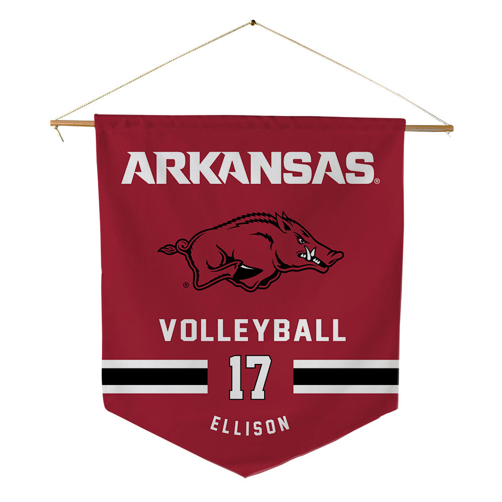 Arkansas - NCAA Women's Volleyball : Skylar Ellison - Pennant - 18" x 21"-0