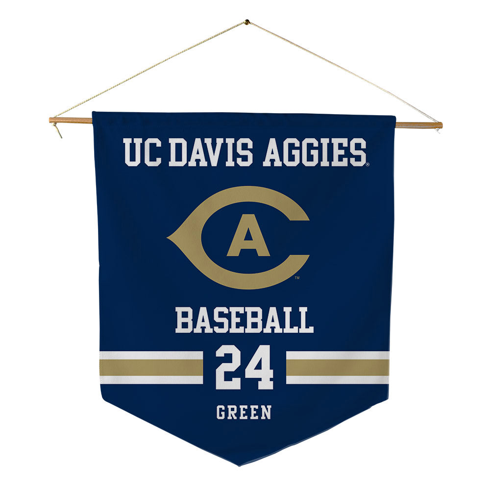 UC Davis - NCAA Baseball : Bryan Green - Pennant - 18" x 21"-0