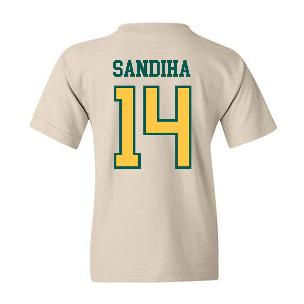 Wayne State - NCAA Baseball : Nick Sandiha - Classic Shersey Youth T-Shirt-1
