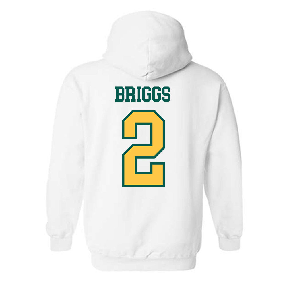 Wayne State - NCAA Men's Basketball : Jordan Briggs - Classic Shersey Hooded Sweatshirt-1
