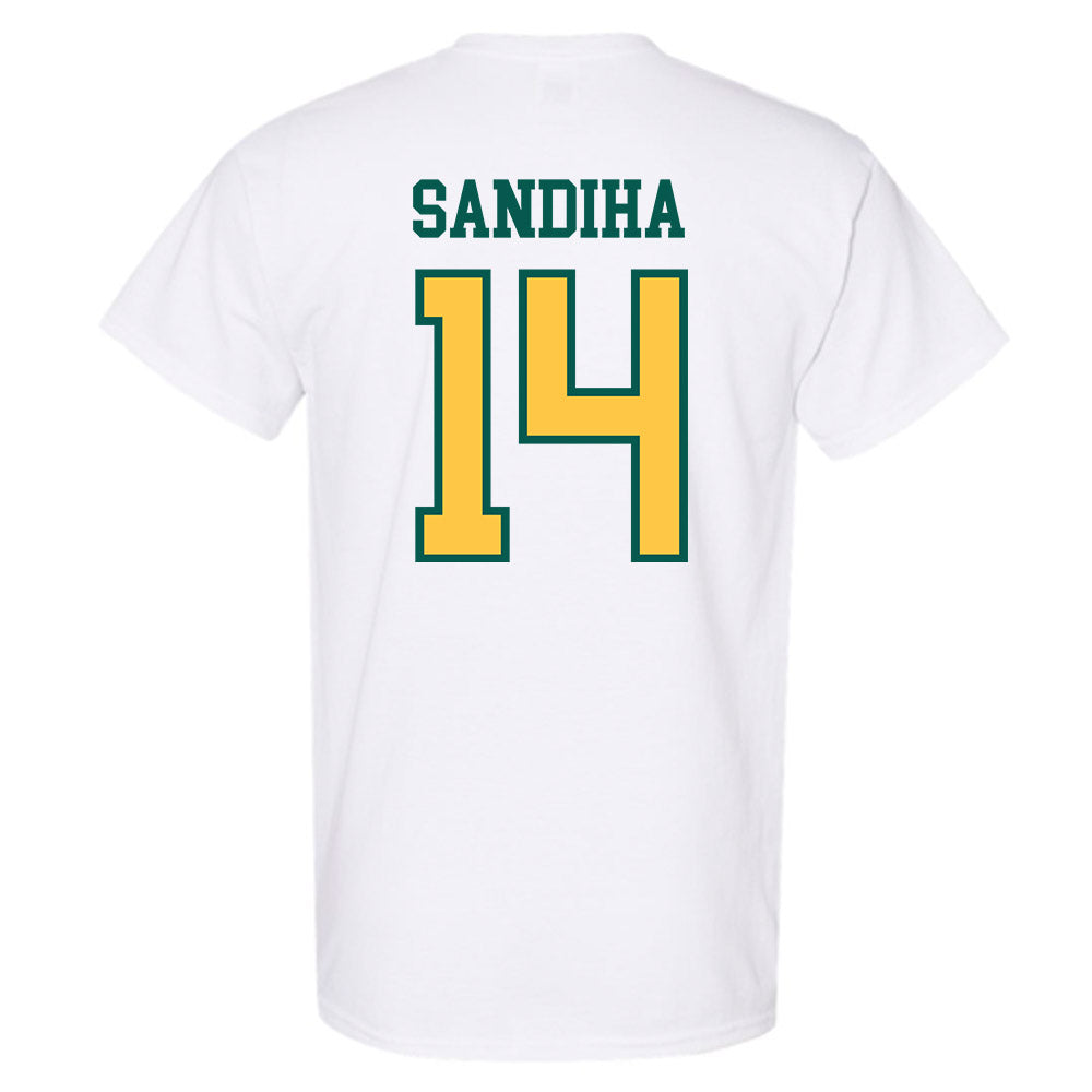 Wayne State - NCAA Baseball : Nick Sandiha - Classic Shersey T-Shirt-1