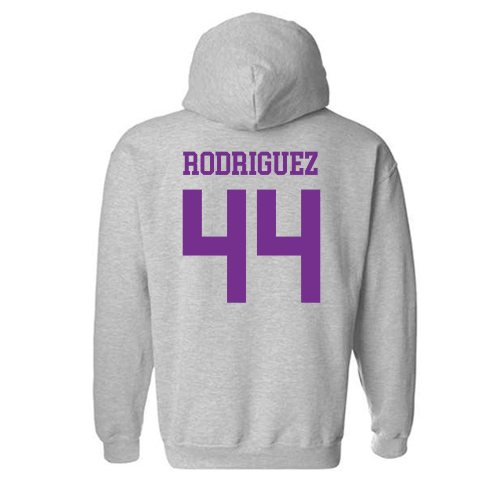 Mount Union - NCAA Men's Basketball : Darius Rodriguez - Classic Shersey Hooded Sweatshirt-1