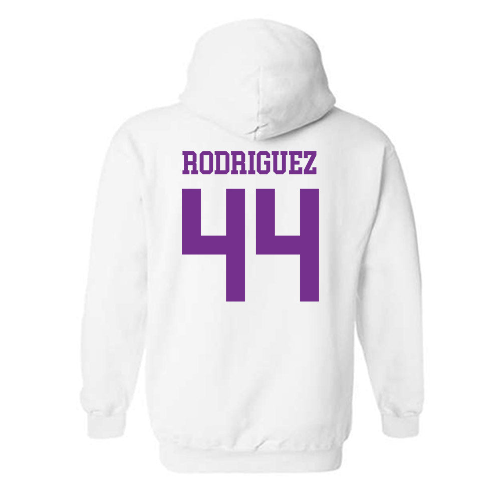 Mount Union - NCAA Men's Basketball : Darius Rodriguez - Classic Shersey Hooded Sweatshirt-1