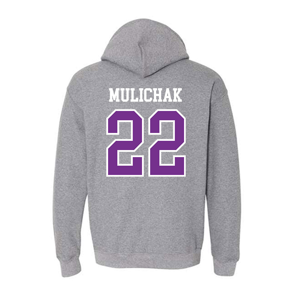 Mount Union - NCAA Men's Soccer : Ethan Mulichak - Classic Shersey Hooded Sweatshirt-1