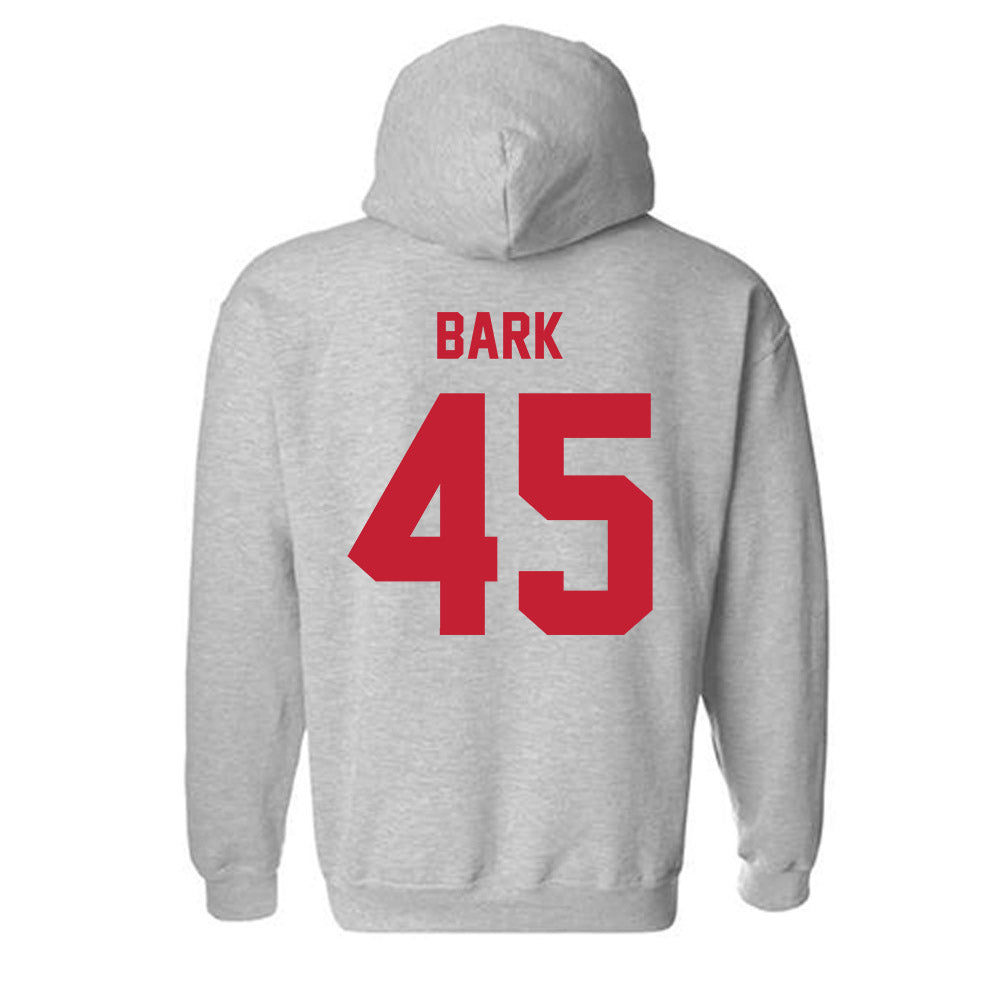 Wisconsin - NCAA Softball : Alivia Bark - Classic Shersey Hooded Sweatshirt-1