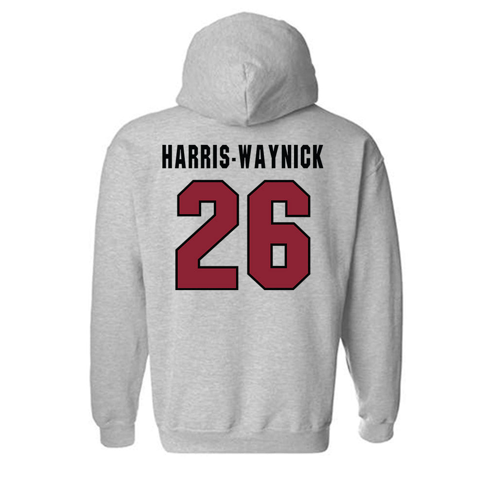South Carolina - NCAA Football : Nathan Harris-Waynick - Classic Shersey Hooded Sweatshirt-1