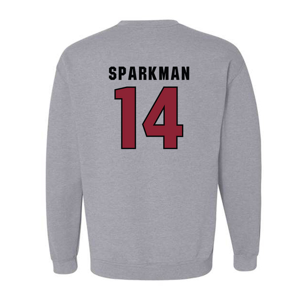South Carolina - NCAA Men's Basketball : Eli Sparkman - Classic Shersey Crewneck Sweatshirt-1