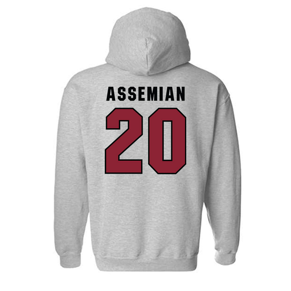 South Carolina - NCAA Men's Basketball : Hayden Assemian - Classic Shersey Hooded Sweatshirt-1