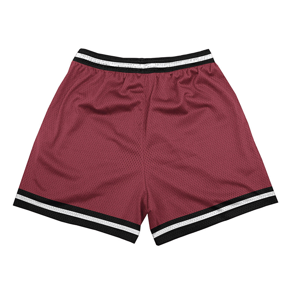 South Carolina - NCAA Softball : Alyssa Hovermale - Shorts-1
