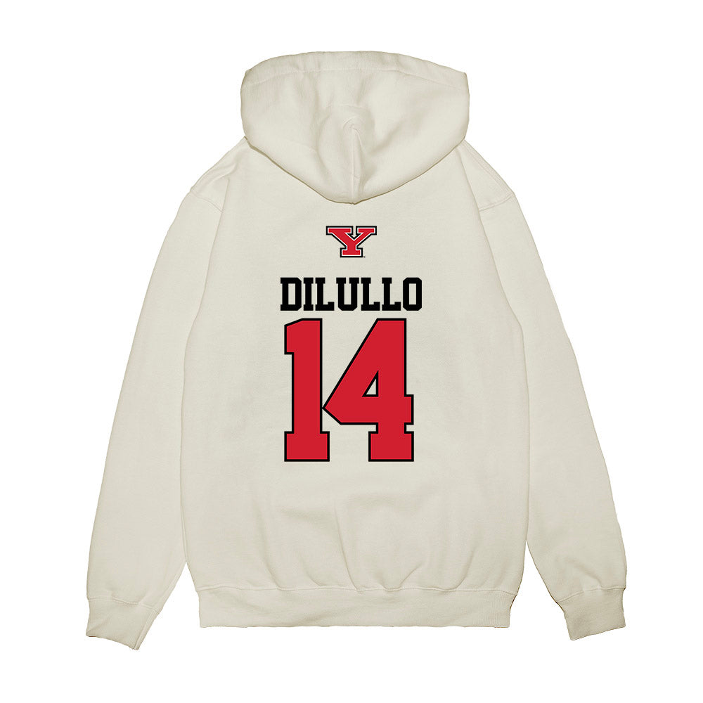 Youngstown State - NCAA Baseball : Ryan DiLullo - USA Raglan Premium Hooded Sweatshirt-1