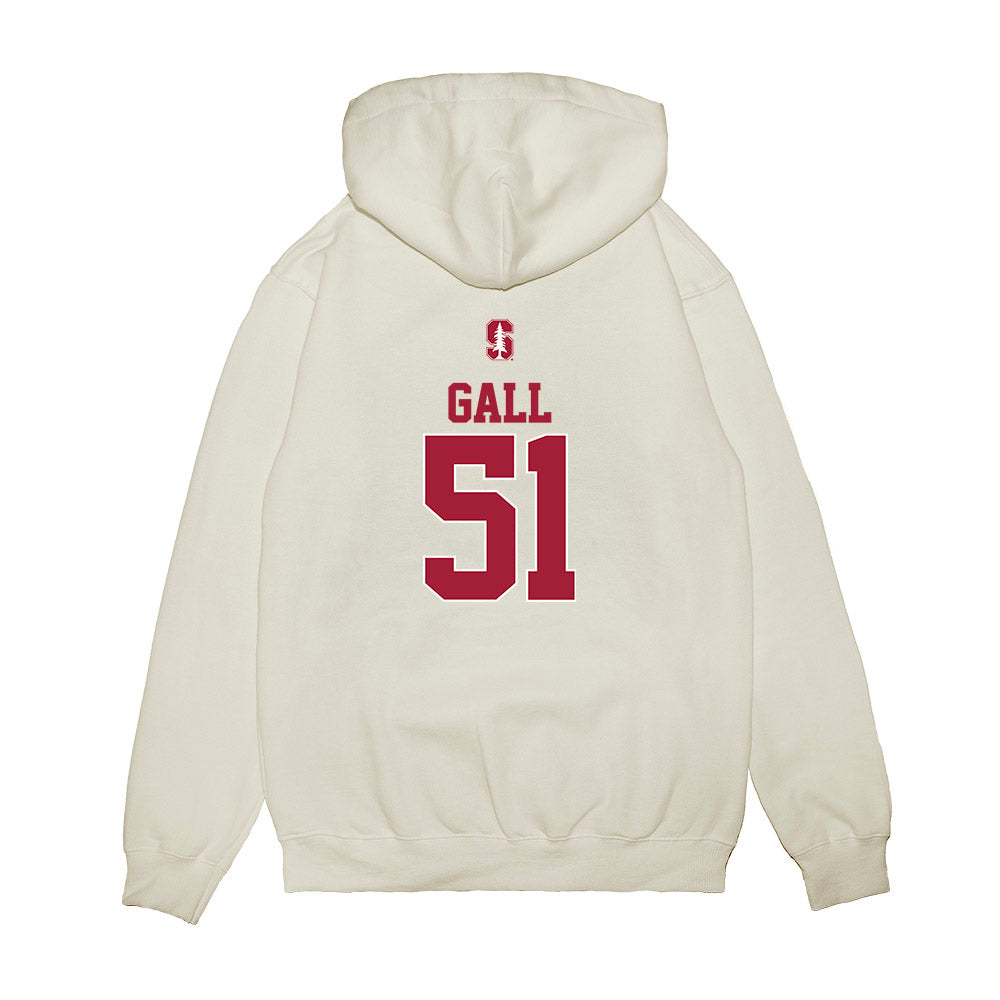Stanford - NCAA Softball : Ava Gall - USA Premium Hooded Sweatshirt-1