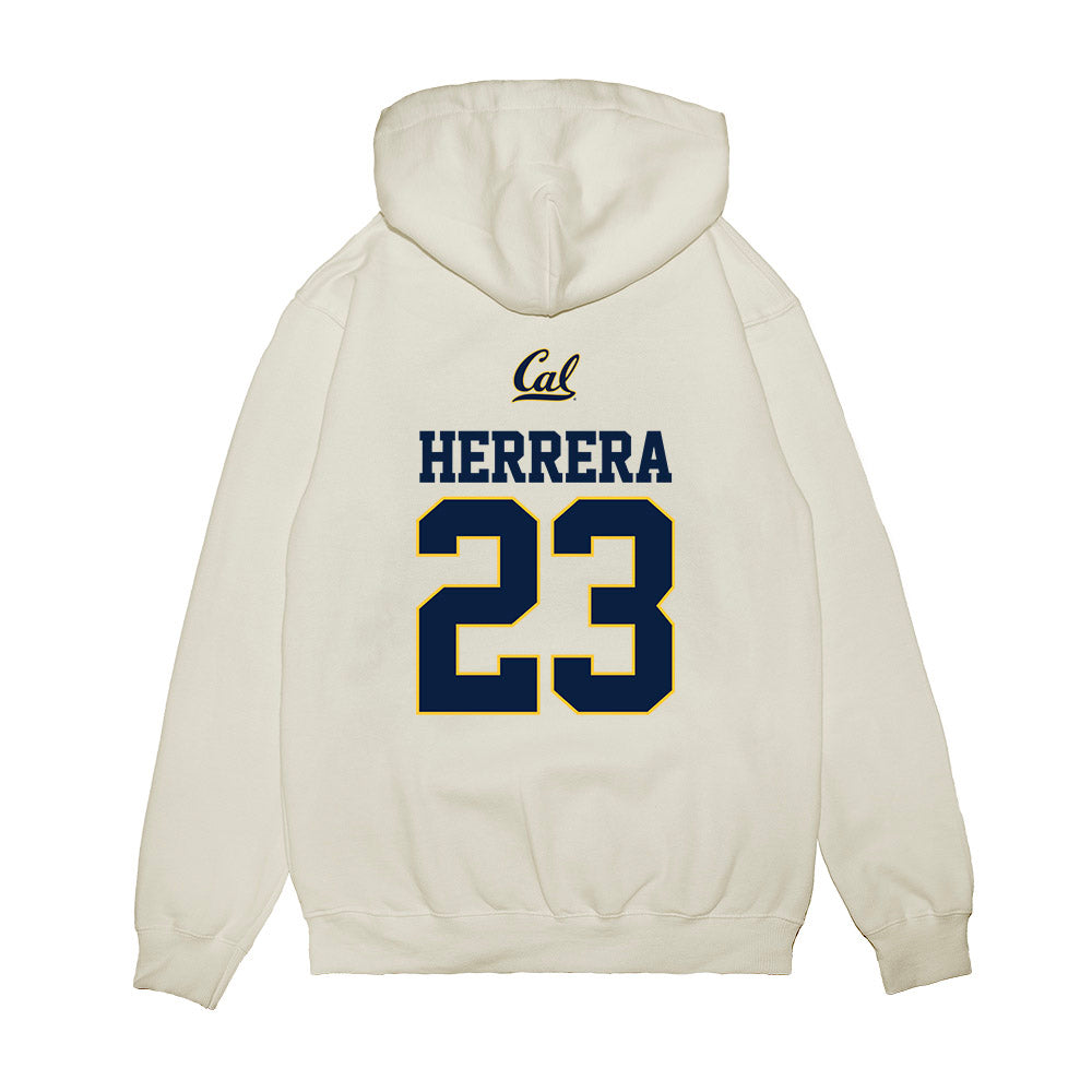 UC Berkeley - NCAA Softball : Alyssa Herrera - Premium Hooded Sweatshirt-1