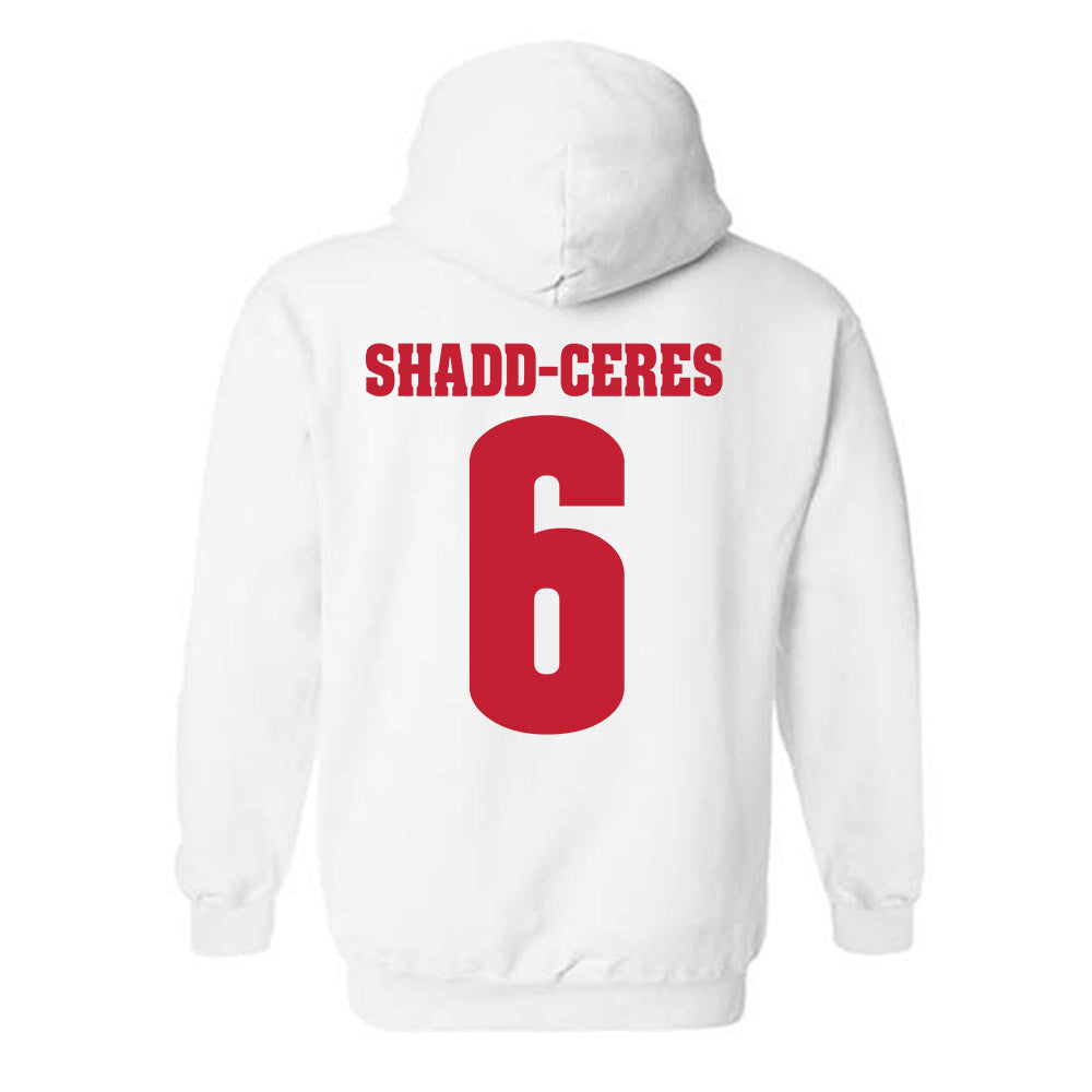 Wisconsin - NCAA Women's Volleyball : Trinity Shadd-Ceres - Classic Shersey Hooded Sweatshirt-1