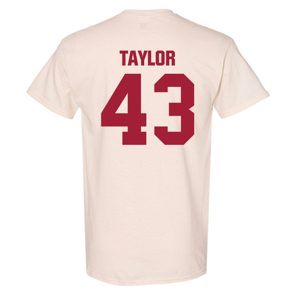 Indiana - NCAA Football : Bryce Taylor - T-Shirt-1