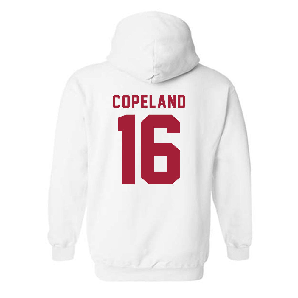 Indiana - NCAA Softball : Brianna Copeland - Replica Shersey Hooded Sweatshirt-1