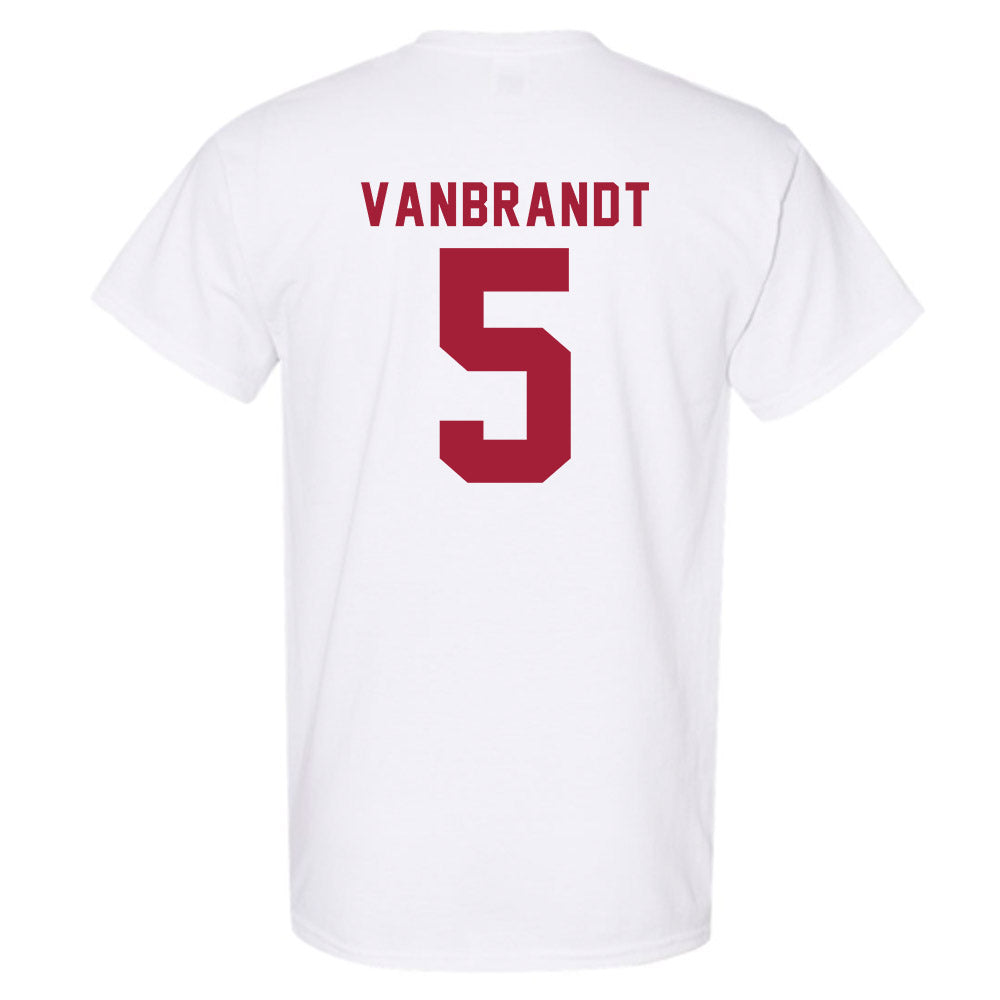 Indiana - NCAA Softball : Aly VanBrandt - Replica Shersey T-Shirt-1
