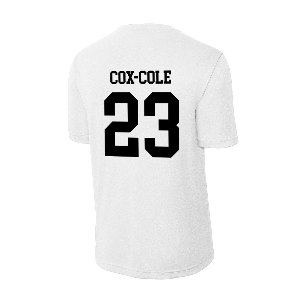 Alabama State - NCAA Softball : Arianna Cox-Cole - Classic Shersey Activewear T-Shirt-1