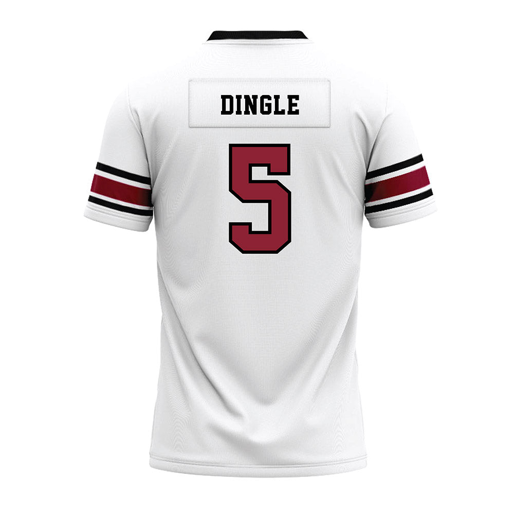 South Carolina - NCAA Football : Jordan Dingle - White Premium Football Jersey-1