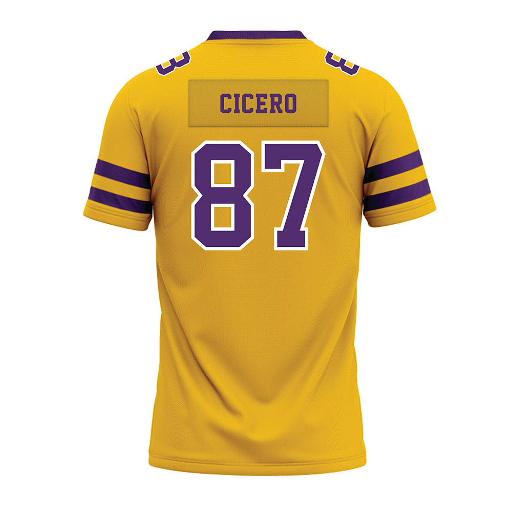 Minn. St. - NCAA Football : Jake Cicero - Gold Premium Football Jersey-1