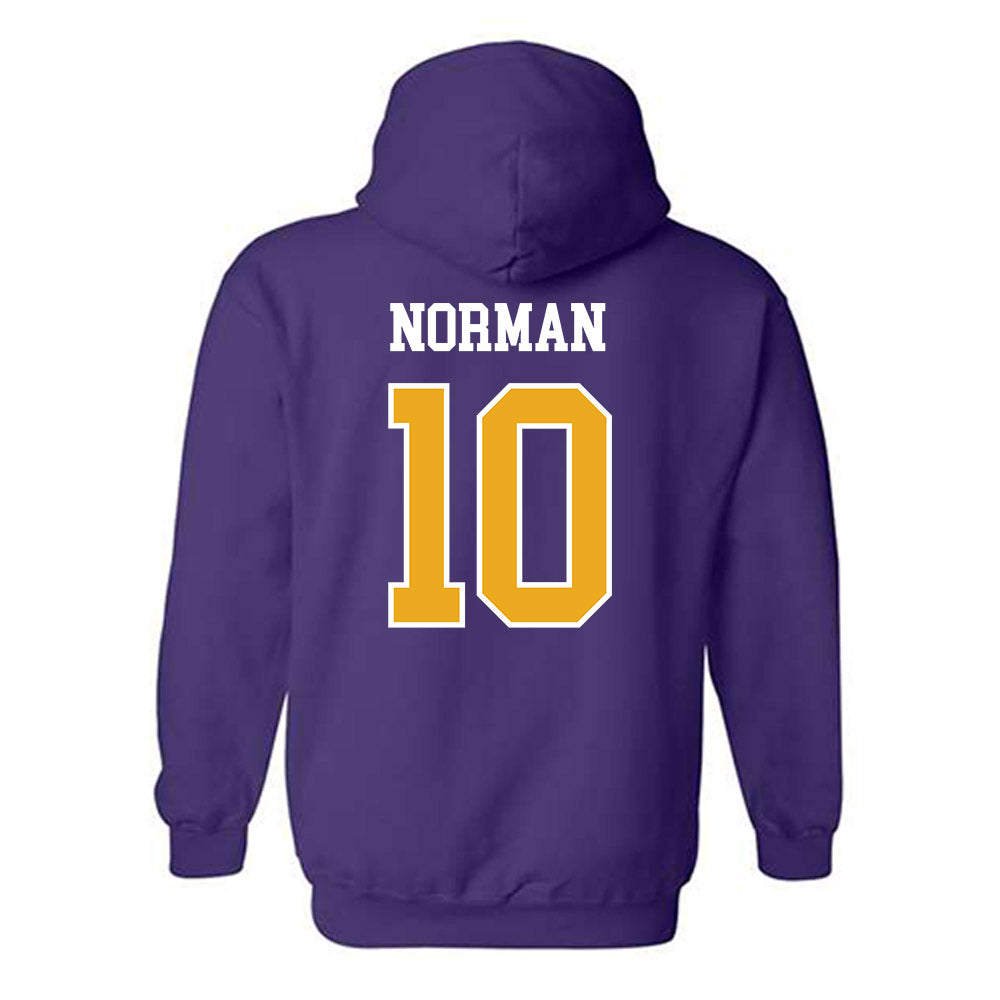 Albany - NCAA Football : BJ norman - Classic Shersey Hooded Sweatshirt-1