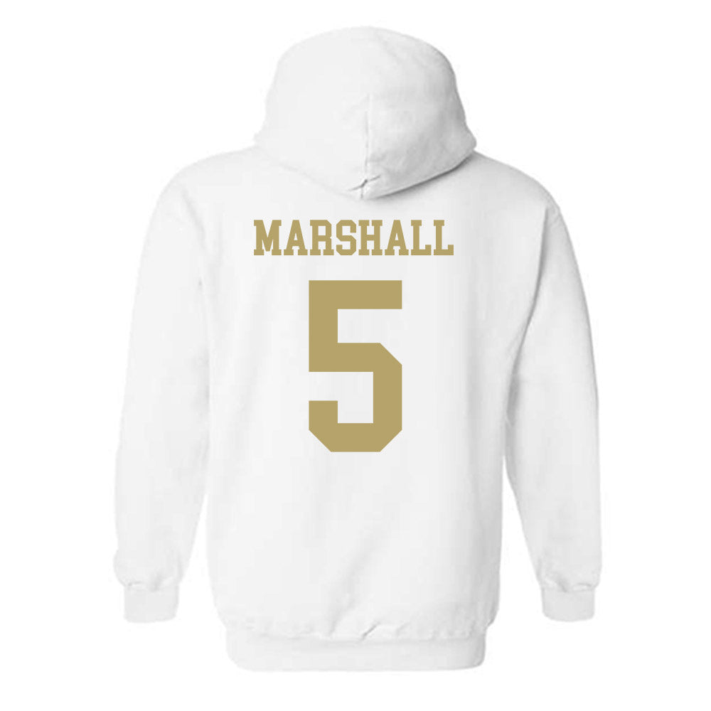 Georgia Tech - NCAA Men's Basketball : Peyton Marshall - Classic Shersey Hooded Sweatshirt-1