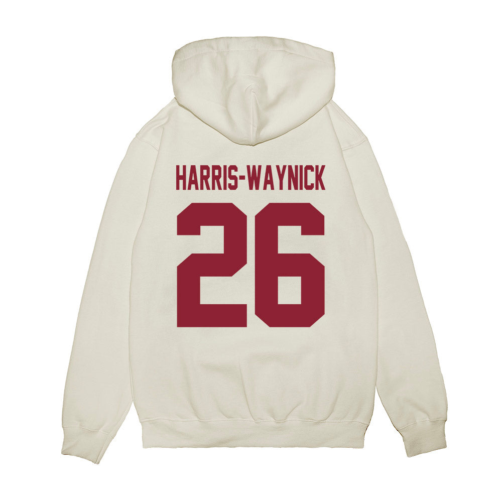 South Carolina - NCAA Football : Nathan Harris-Waynick - Vintage Helmet Premium Hooded Sweatshirt-1