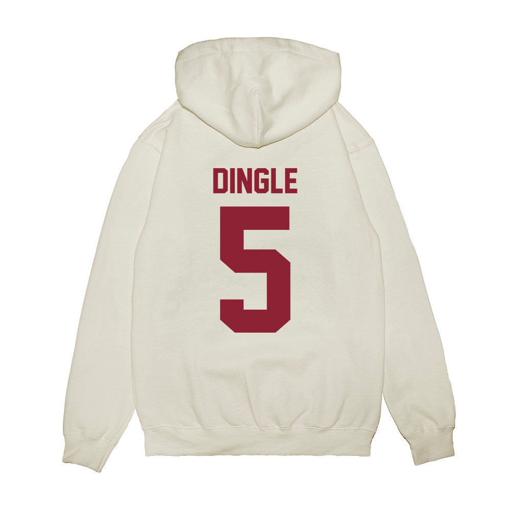 South Carolina - NCAA Football : Jordan Dingle - Vintage Helmet Premium Hooded Sweatshirt-1