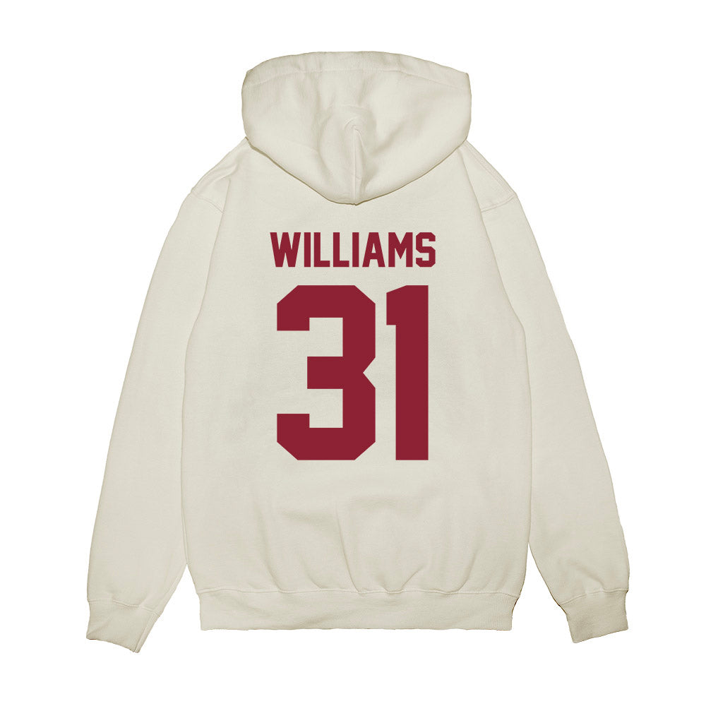 South Carolina - NCAA Football : Peyton Williams - Vintage Helmet Premium Hooded Sweatshirt-1