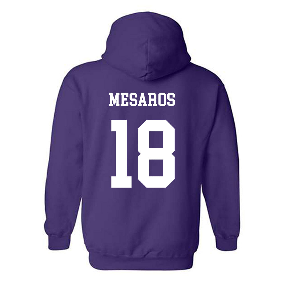 JMU - NCAA Softball : Morgan Mesaros - Vintage Dukes Hooded Sweatshirt-1