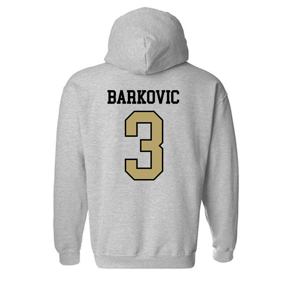 Ferrum - NCAA Women's Lacrosse : Lana Barkovic - Classic Shersey Hooded Sweatshirt-1