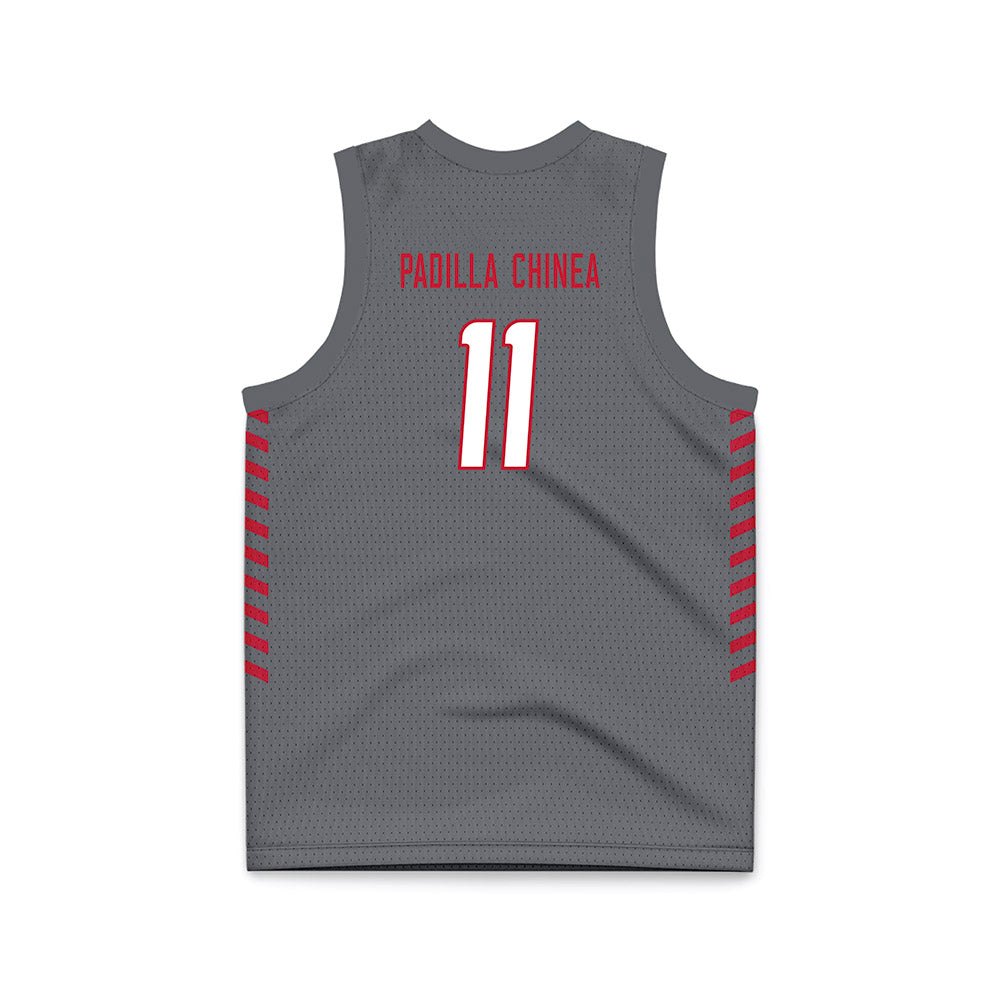 New Mexico - NCAA Women's Basketball : Nayli Padilla Chinea - Anthracite Basketball Jersey-1