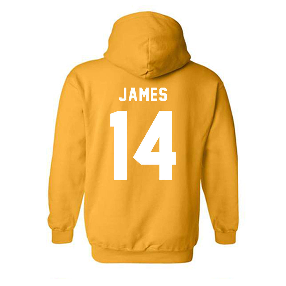 Idaho - NCAA Women's Soccer : Emma James - VANDALS Hooded Sweatshirt-1