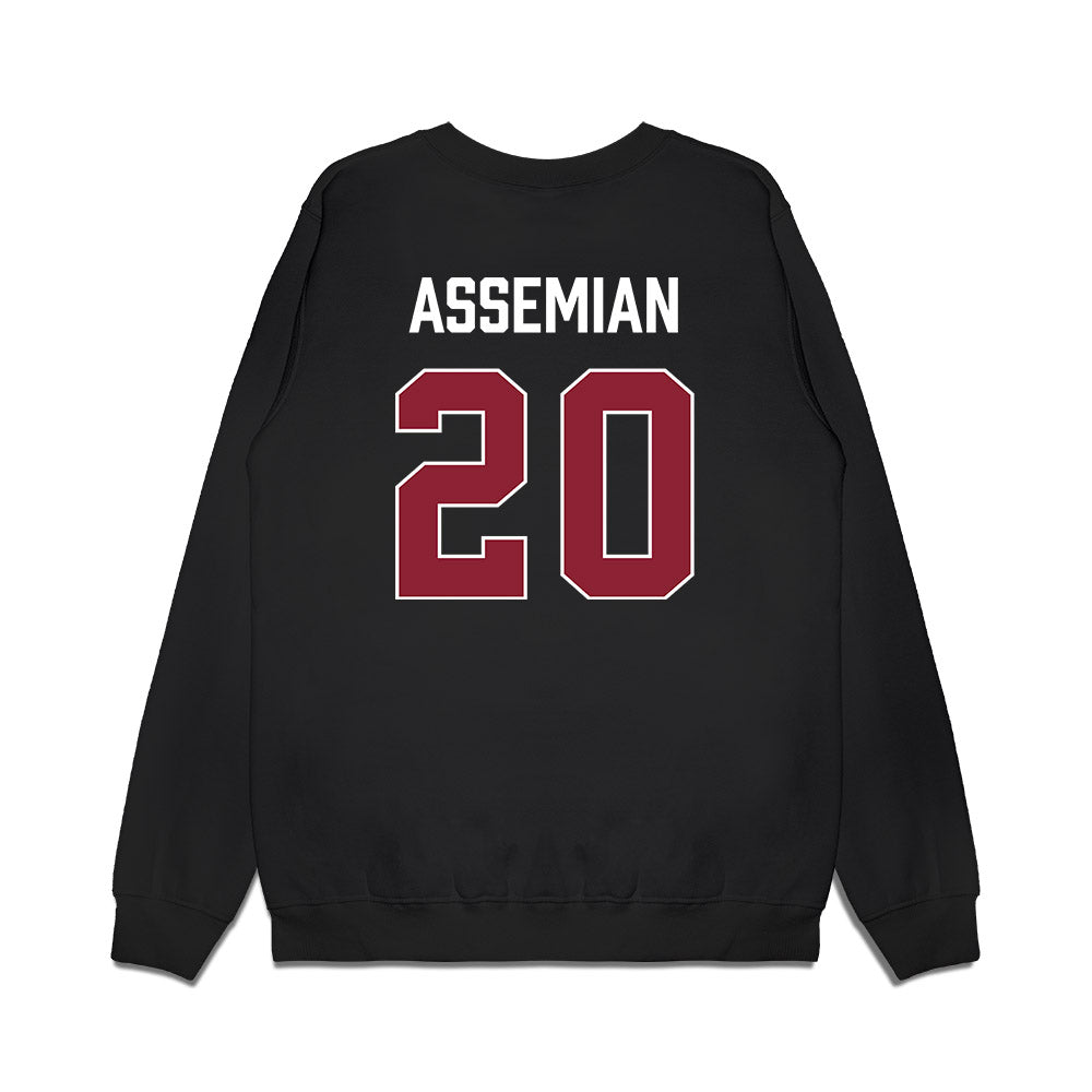 South Carolina - NCAA Men's Basketball : Hayden Assemian - Gamecocks Shersey Premium Crewneck Sweatshirt-1