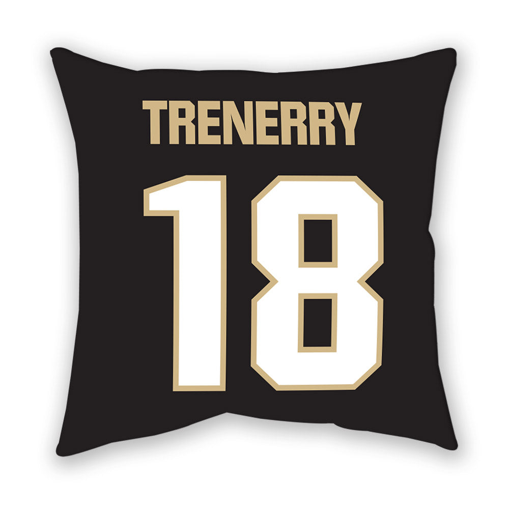 Purdue - NCAA Baseball : Joe Trenerry - Pillow-1