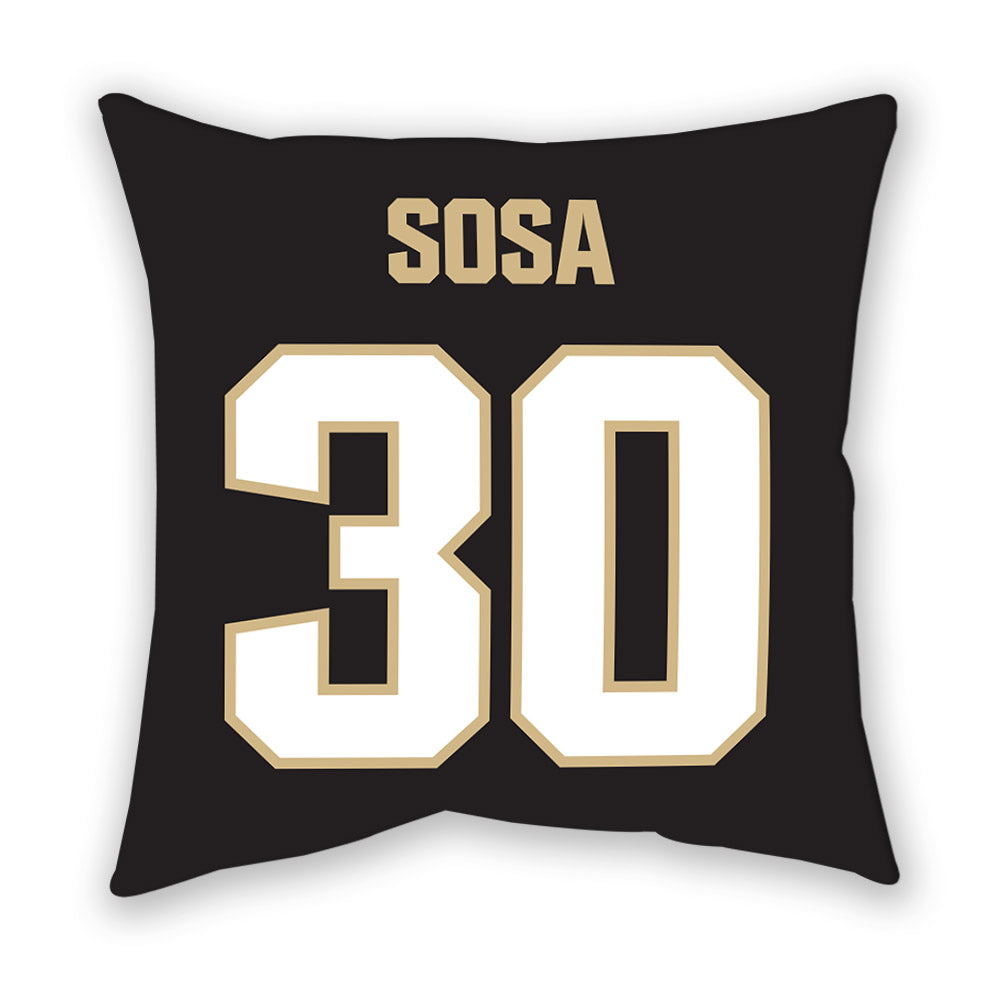 Purdue - NCAA Softball : Gabriela Sosa - Pillow-1