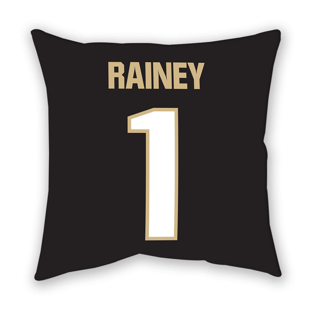 Purdue - NCAA Softball : Kendyl Rainey - Pillow-1